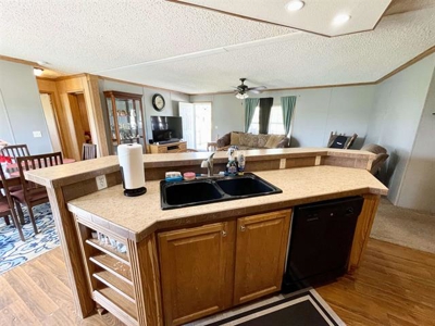 Two homes for sale Ash Flat, AR - image 13
