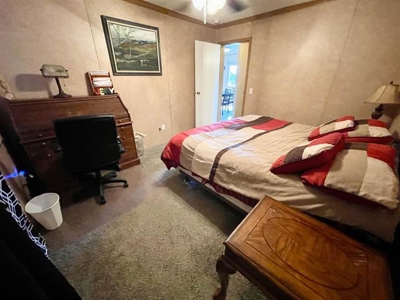 Two homes for sale Ash Flat, AR - image 20