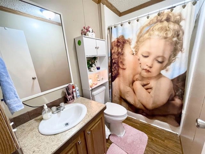 Two homes for sale Ash Flat, AR - image 21