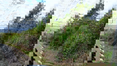 Stunning 5-Hectare Mountain Property with Ocean Views in Sora - image 5