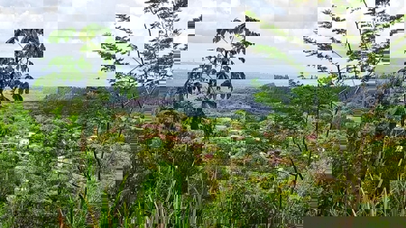 Stunning 5-Hectare Mountain Property with Ocean Views in Sora - image 1