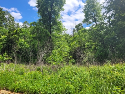 Small Acreage In Fulton County Arkansas - image 4