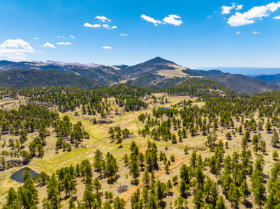 Colorado Luxury Ranch with Custom Home, 440 acres, 3 ponds, BLM - image 35