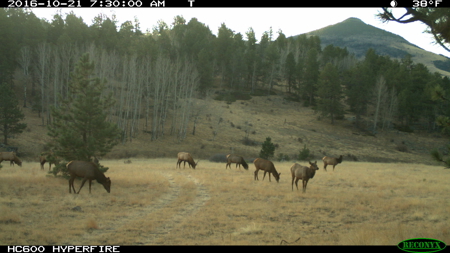 Colorado Luxury Ranch with Custom Home, 440 acres, 3 ponds, BLM - image 47