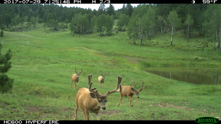 Colorado Luxury Ranch with Custom Home, 440 acres, 3 ponds, BLM - image 49