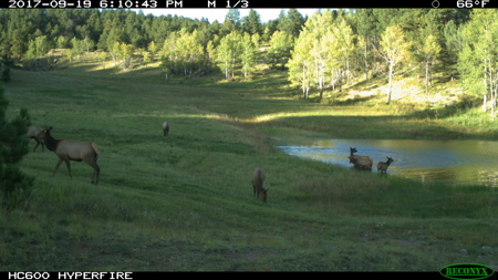 Colorado Luxury Ranch with Custom Home, 440 acres, 3 ponds, BLM - image 48