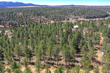Build Your Mountain Retreat: Scenic Lot for Sale in Divide, CO - image 12