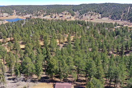 Build Your Mountain Retreat: Scenic Lot for Sale in Divide, CO - image 9