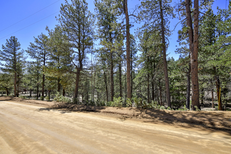 Build Your Mountain Retreat: Scenic Lot for Sale in Divide, CO - image 5
