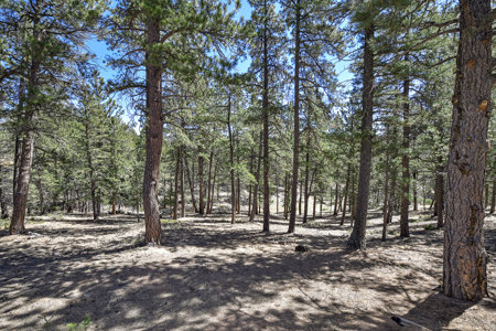 Build Your Mountain Retreat: Scenic Lot for Sale in Divide, CO - image 1