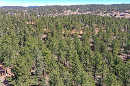 Build Your Mountain Retreat: Scenic Lot for Sale in Divide, CO - image 8