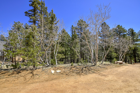 Build Your Mountain Retreat: Scenic Lot for Sale in Divide, CO - image 4