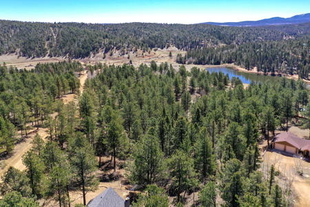 Build Your Mountain Retreat: Scenic Lot for Sale in Divide, CO - image 14