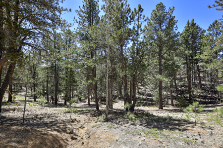 Build Your Mountain Retreat: Scenic Lot for Sale in Divide, CO - image 7