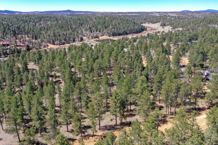 Build Your Mountain Retreat: Scenic Lot for Sale in Divide, CO - image 13