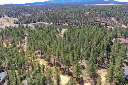 Build Your Mountain Retreat: Scenic Lot for Sale in Divide, CO - image 10