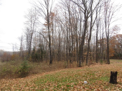 Rustic Waterfront Cabin on Net Lake For Sale in Holyoke MN - image 29