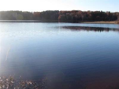 Rustic Waterfront Cabin on Net Lake For Sale in Holyoke MN - image 6