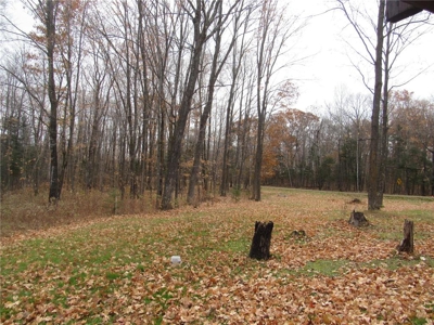 Rustic Waterfront Cabin on Net Lake For Sale in Holyoke MN - image 27