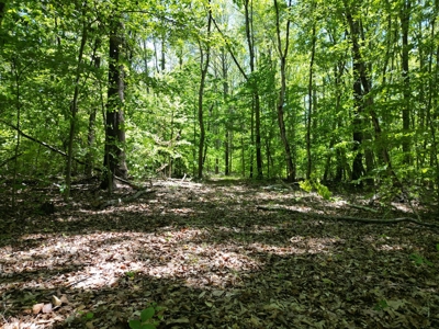 128 Acres of Privacy, Trails & Stream Frontage, VA - image 4