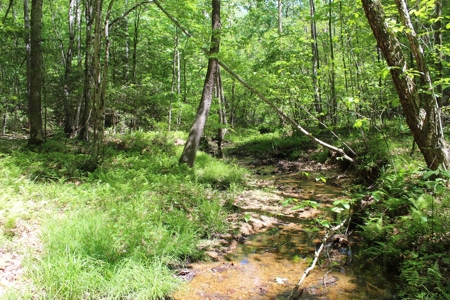 128 Acres of Privacy, Trails & Stream Frontage, VA - image 18
