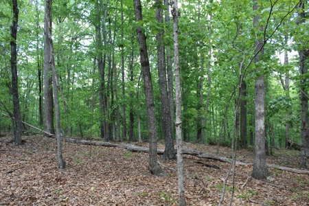 128 Acres of Privacy, Trails & Stream Frontage, VA - image 17