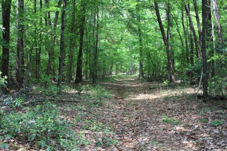 128 Acres of Privacy, Trails & Stream Frontage, VA - image 10