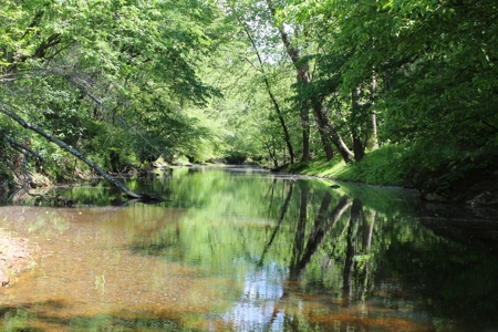 128 Acres of Privacy, Trails & Stream Frontage, VA - image 22