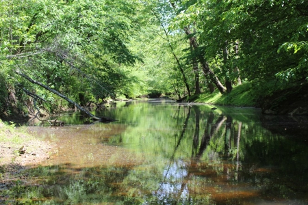 128 Acres of Privacy, Trails & Stream Frontage, VA - image 23