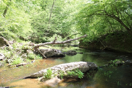 128 Acres of Privacy, Trails & Stream Frontage, VA - image 12