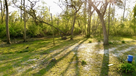 River Home For Sale On The Suwannee River In Lafayette County! - image 48