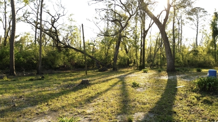 River Home For Sale On The Suwannee River In Lafayette County! - image 49
