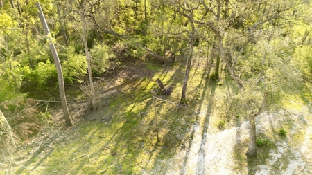 River Home For Sale On The Suwannee River In Lafayette County! - image 47