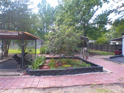 Cottage and Guest House For Sale Denham Springs, Louisiana - image 7