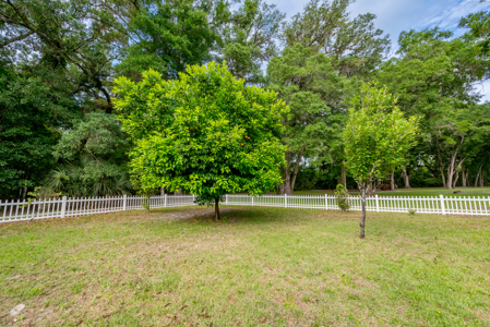 Riverwalk of Fanning Springs, FL - Gated Community Suwannee River - image 34