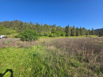 Subdivision Lots for Sale in Kamiah, Idaho - image 3