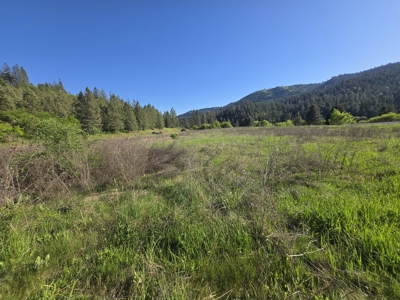 Subdivision Lots for Sale in Kamiah, Idaho - image 4