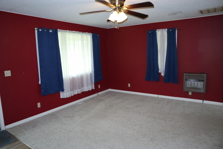 Home In Town Of Salem Arkansas For Sale - image 6