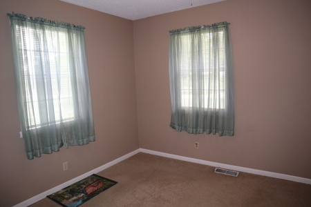 Home In Town Of Salem Arkansas For Sale - image 13