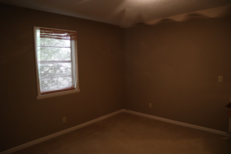 Home In Town Of Salem Arkansas For Sale - image 15