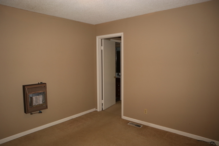 Home In Town Of Salem Arkansas For Sale - image 14