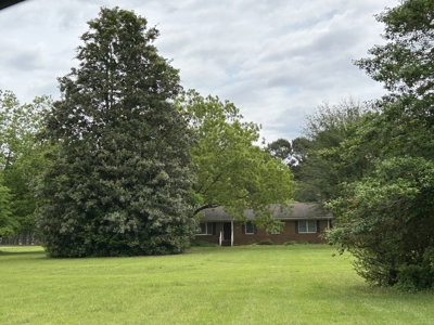 Spacious Country Living with Room to Grow! - image 1