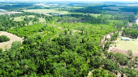 Land For Sale In Lafayette County!!! - image 5