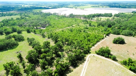 Land For Sale In Lafayette County!!! - image 6