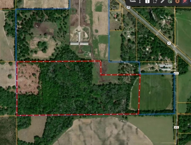 Land For Sale In Lafayette County!!! - image 7