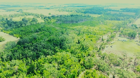 Land For Sale In Lafayette County!!! - image 4