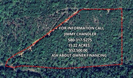 Kiamichi Mountain Land for Sale in Albion, Oklahoma - image 10
