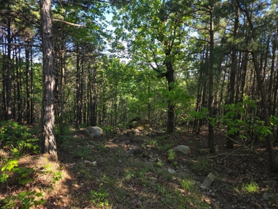 Kiamichi Mountain Land for Sale in Albion, Oklahoma - image 9