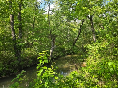 Kiamichi Mountain Land for Sale in Albion, Oklahoma - image 3