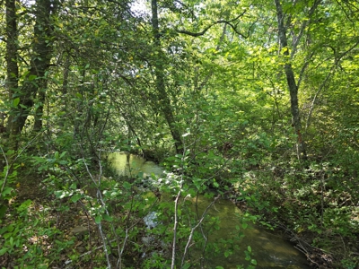 Kiamichi Mountain Land for Sale in Albion, Oklahoma - image 4